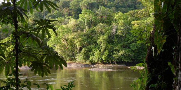 La Guyane : une terre française au milieu de l'Amazonie