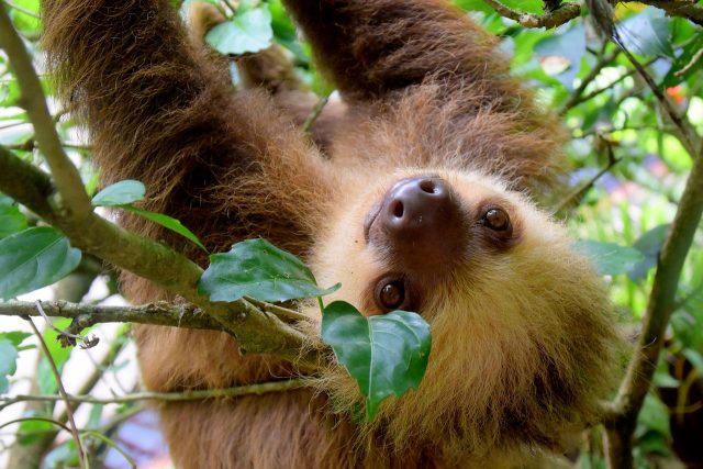 Découvertes au Costa Rica