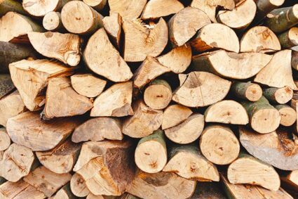 Vente de bois de chauffage : quels sont les différents types de bois disponibles en Dordogne ?