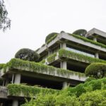 immobilier durable