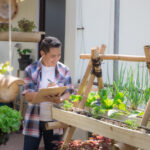 Découvrez les avantages de cultiver vos propres légumes à l'intérieur