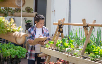 Découvrez les avantages de cultiver vos propres légumes à l'intérieur