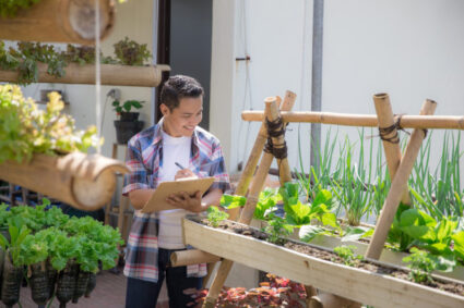 Découvrez les avantages de cultiver vos propres légumes à l’intérieur