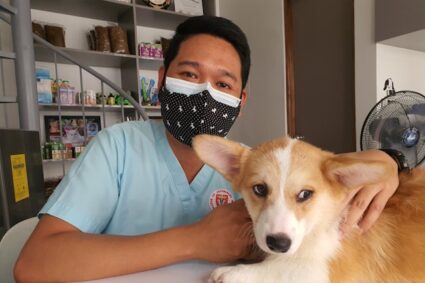 Assurance animale