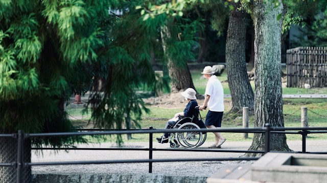 fauteuil roulant